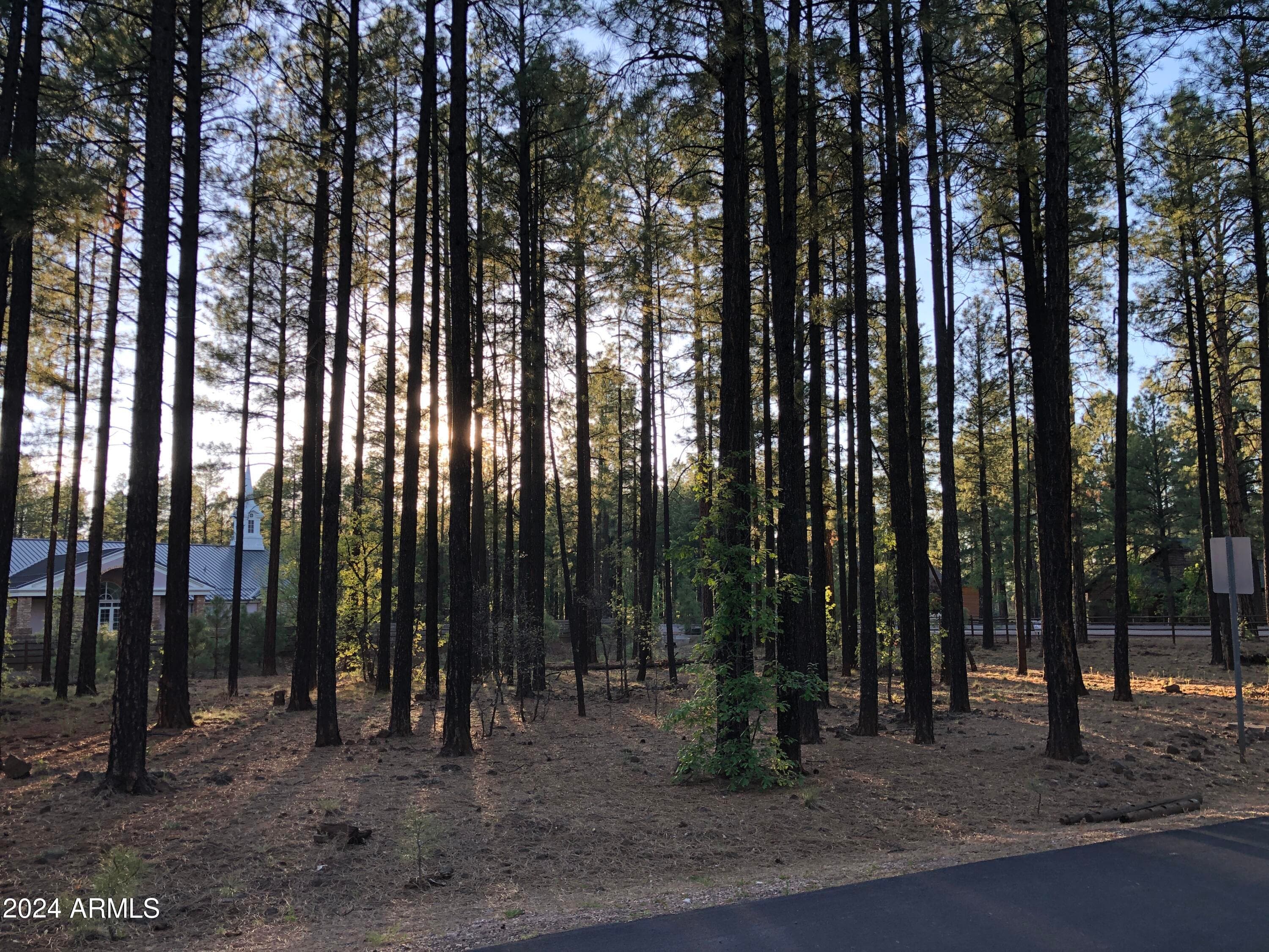 2504 TIMBER RIDGE Lane